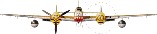 Bf-110D-3 �� 4/ZG 76, �����, ����, ��� 1941