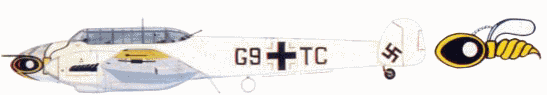Bf-110D �� ����� II/ZG 1 'Wespen Geschwader' (������ �������), ������, 1942.