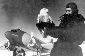 ��-2 &laquo;�����������&raquo;